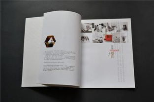 廣告設(shè)計(jì) 超越視覺(jué)的藝術(shù)與策略